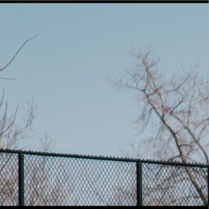 Meet your Posher, Gavin